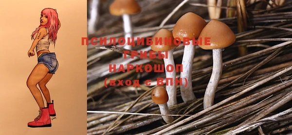 гидропоника Лихославль