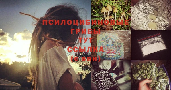дурь Горняк