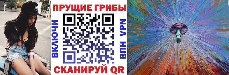 Галлюциногенные грибы Magic Shrooms  кракен ССЫЛКА  Междуреченск 