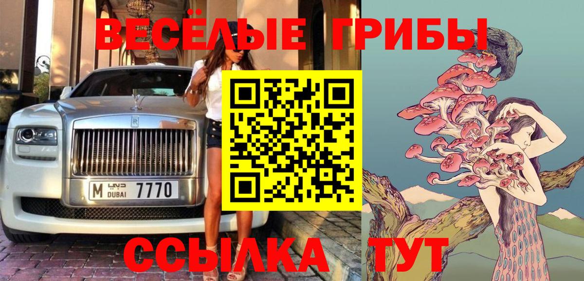 Галлюциногенные грибы GOLDEN TEACHER Междуреченск