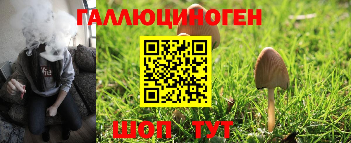 Междуреченск  Галлюциногенные грибы Cubensis  цены наркотик  Галлюциногенные грибы Magic Shrooms  Вход с VPN 